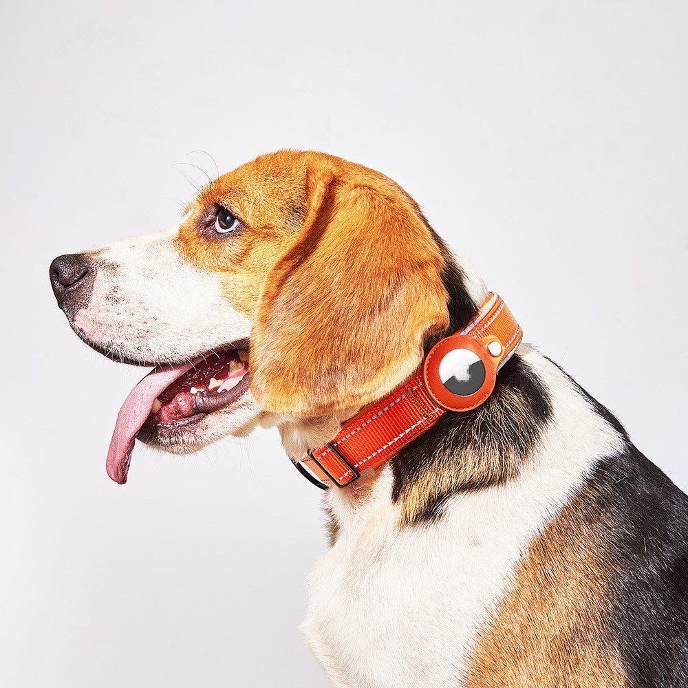 Hundehalsbånd med Holder for AirTag 1. & 2. Gen. - Størrelse L (43-50 cm) - Blå