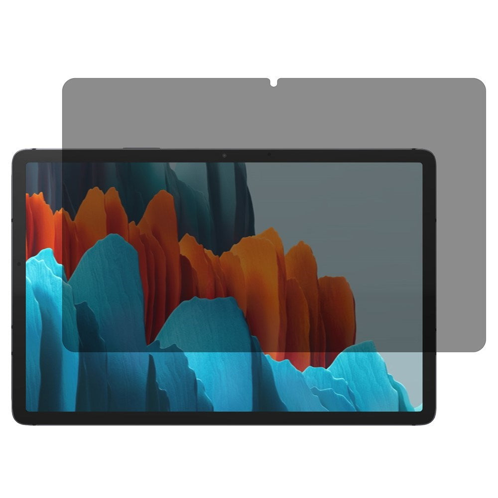 Samsung Galaxy Tab S11 / S10 Lite / S10 FE / S9 FE / S9 / S8 / S7 Skjermbeskytter i Herdet Glass - Privacy Funksjon - Gjennomsiktig