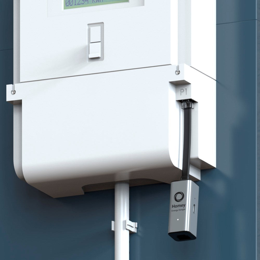 Homey Energy Dongle P1 - Grå