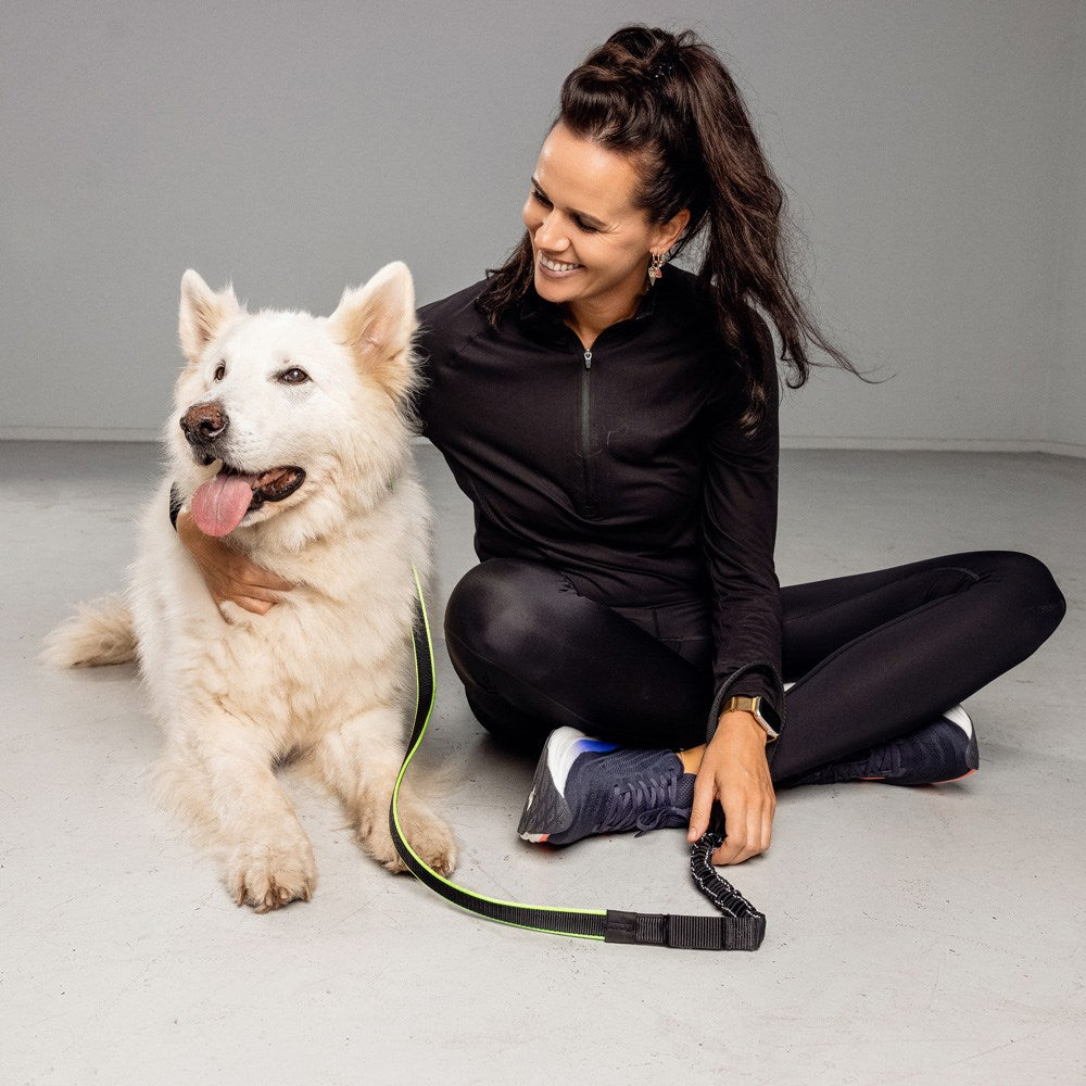 Bee-Safe LED Hundesnor for Løping - Svart