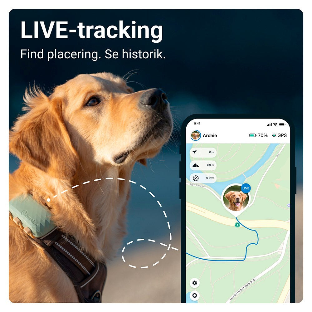 Tractive GPS Dog XL - GPS & Bluetooth Tracker for Hunder - Grønn