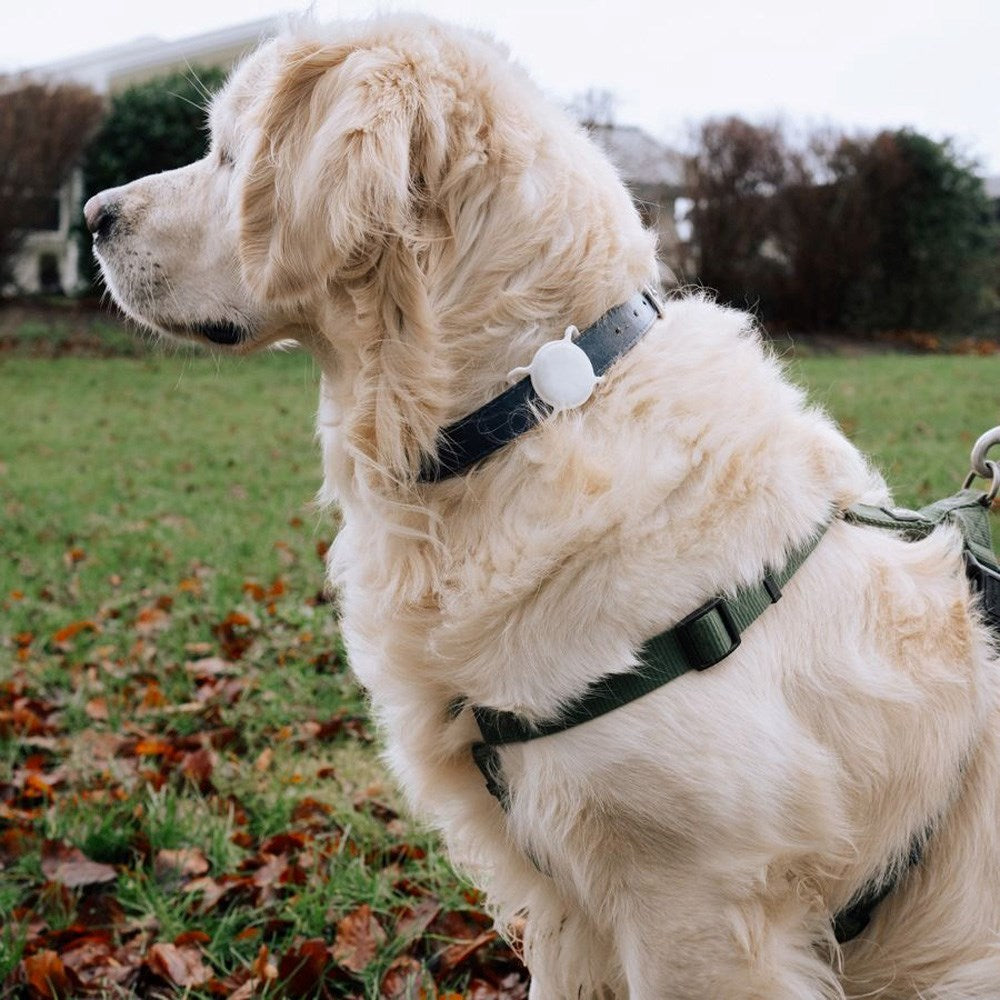 Lippa Silikon AirTag Holder for Krage - Svart