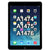 iPad Air