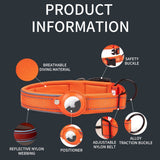 Hundehalsbånd med Holder for AirTag - Størrelse M (38-45 cm) - Beige