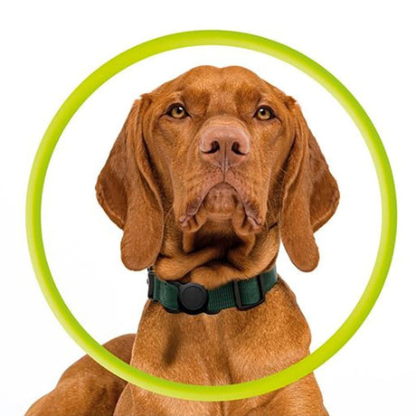 Mobile Origin AirTag Holder for Halsbånd - Svart