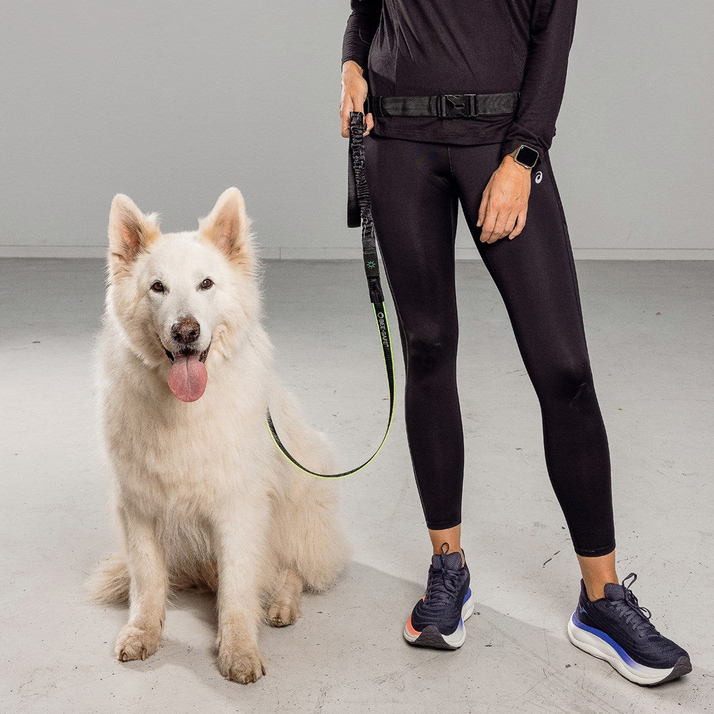 Bee-Safe LED Hundesnor for Løping - Svart