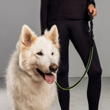 Bee-Safe LED Hundesnor for Løping - Svart