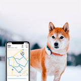 Tractive GPS Dog LTE - GPS & Bluetooth Tracker for Hunder - Hvit