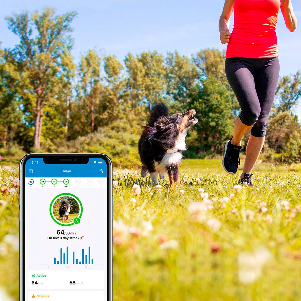 Tractive GPS Dog LTE - GPS & Bluetooth Tracker for Hunder - Hvit