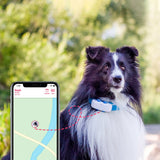 Tractive GPS Dog LTE - GPS & Bluetooth Tracker for Hunder - Hvit