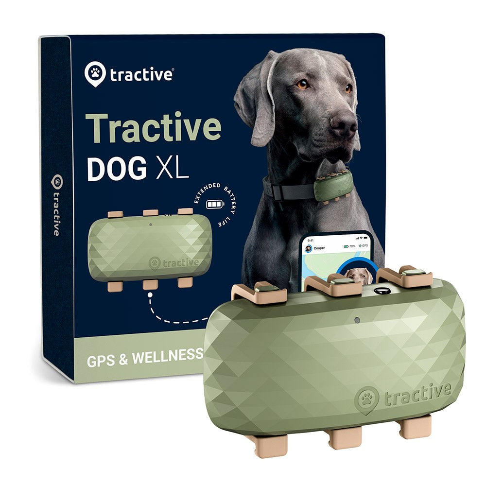 Tractive GPS Dog XL - GPS & Bluetooth Tracker for Hunder - Grønn