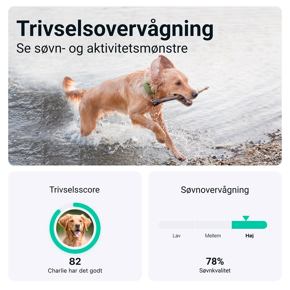 Tractive GPS Dog XL - GPS & Bluetooth Tracker for Hunder - Grønn