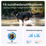 Tractive GPS Dog XL - GPS & Bluetooth Tracker for Hunder - Adventure Edition - Grå