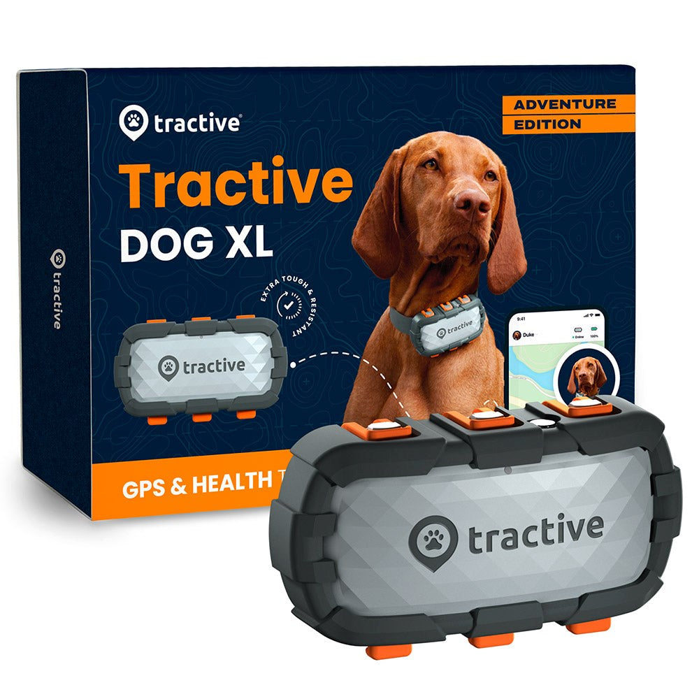 Tractive GPS Dog XL - GPS & Bluetooth Tracker for Hunder - Adventure Edition - Grå