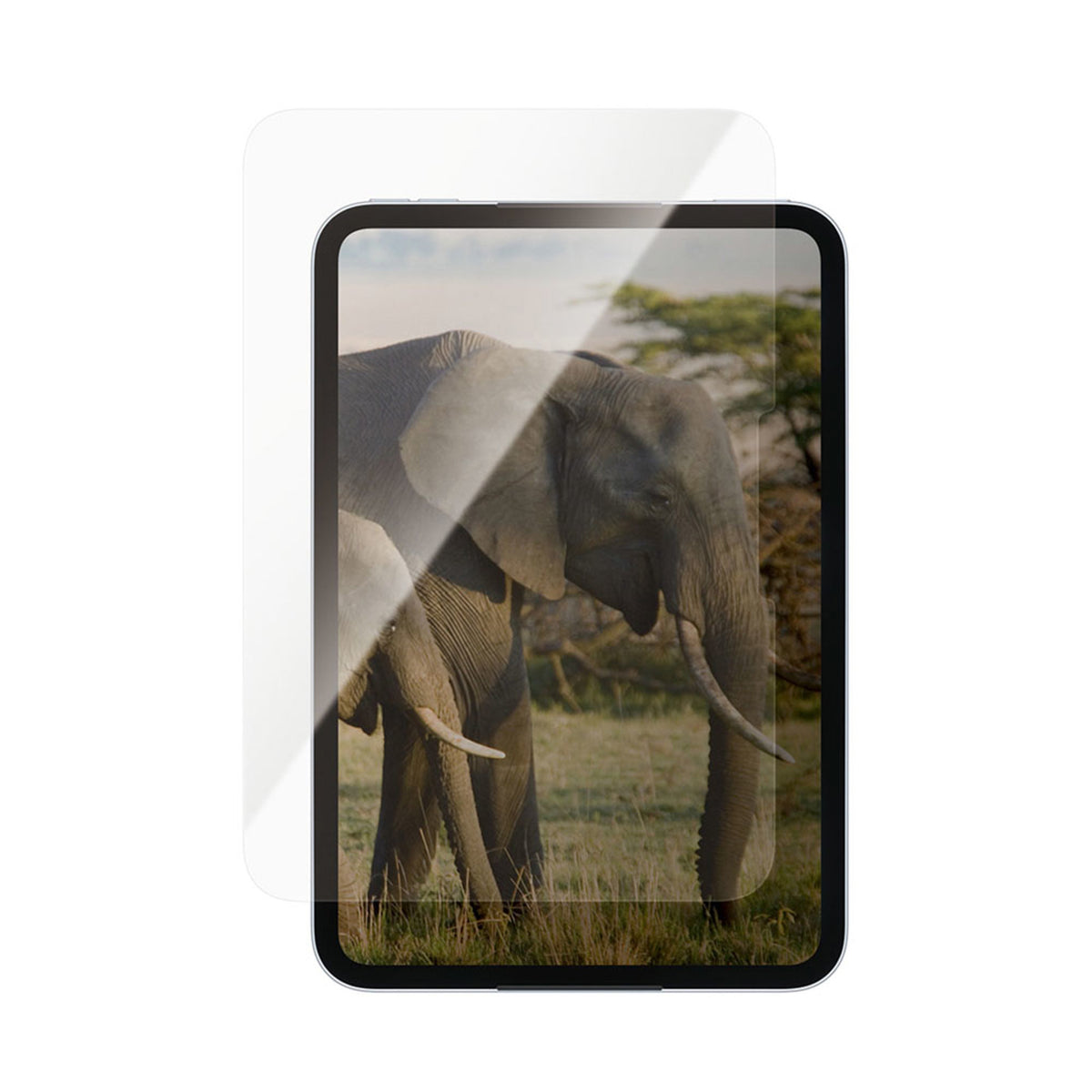 iPad Mini (2026) 8. Gen. PanzerGlass Ultra-Wide Fit Skjermbeskyttelsesglass - Gjennomsiktig